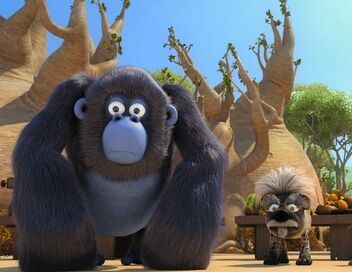 Les as de la jungle à la rescousse