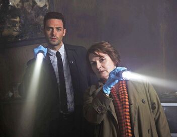 Les enquêtes de Vera