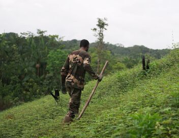 Guyane, vivre avec le jaguar
