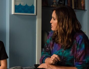 New York Unité Spéciale