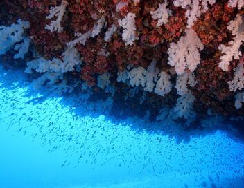 Les nouveaux sanctuaires de la nature