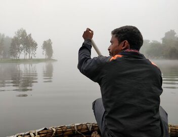 Loutres d'Asie : Une vie sur le fleuve
