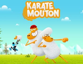 Karaté Mouton