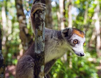 Madagascar, terre d'espoir et de contrastes