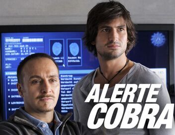 Alerte Cobra