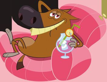 Zig & Sharko