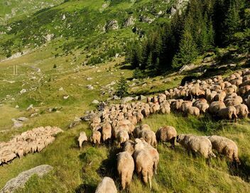 Roumanie, le charme des Balkans