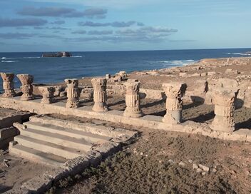 Des racines et des ailes