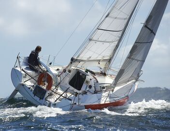 Sail GP : Racing on the Edge