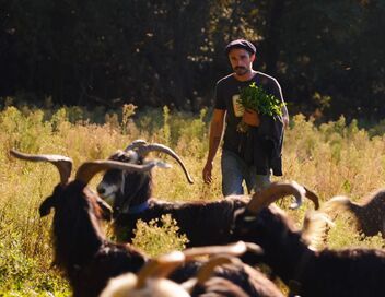 Labels : des verts et des pas mûrs