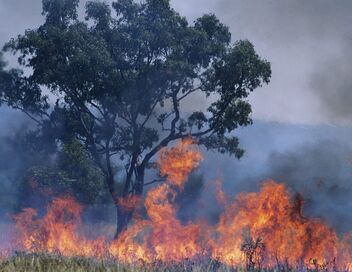 Monde agricole : la fracture de l'eau