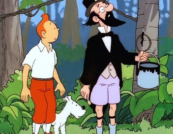 Les aventures de Tintin