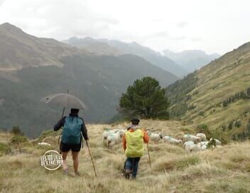 Les 100 lieux qu'il faut voir