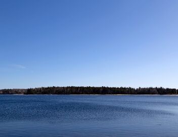 Le mystère d'Oak Island : la course au trésor