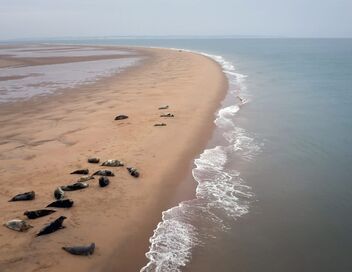 Les détroits, entre terre et mer