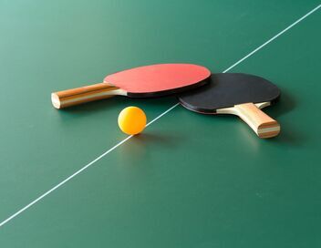 Tennis de table : Championnats d'Europe