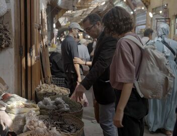 Les trésors oubliés de la médecine arabe