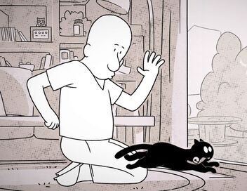 Putain de chat !