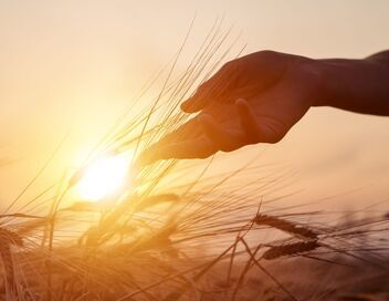 Agriculture : en immersion au Salon