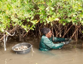 Océans : La fabrique du monde