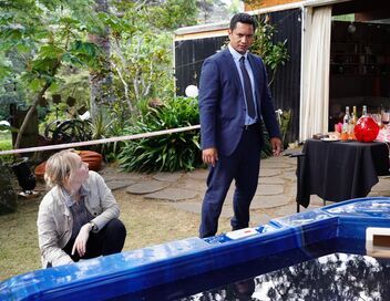 Brokenwood