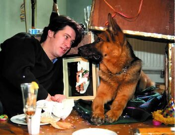 Rex, chien flic