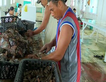 Les joyaux des mers du Sud