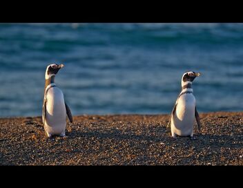 Thalassa, aventures extrêmes