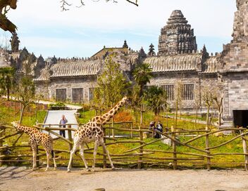 1 an à Pairi Daiza, le meilleur Zoo d'Europe