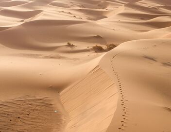 L'Afrique vue du ciel