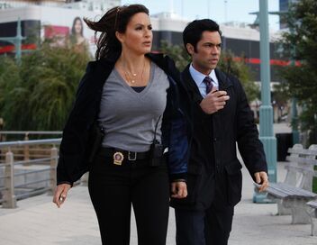 New York Unité Spéciale