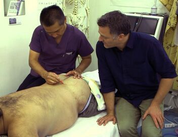 Médecines d'ailleurs