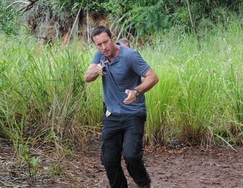 Hawaii 5-0