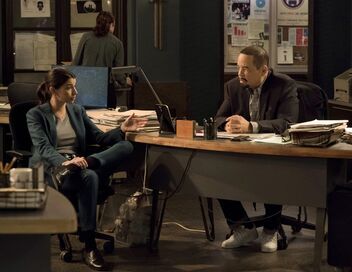 New York Unité Spéciale