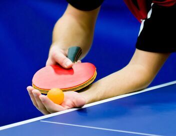 Tennis de table : WTT Star Contender de Ljubljana