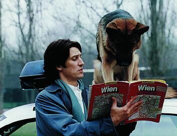 Rex, chien flic