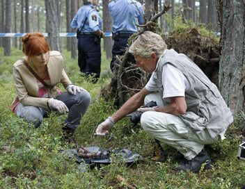 Meurtres à Sandhamn