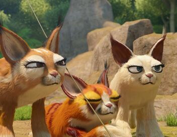 Les as de la jungle à la rescousse