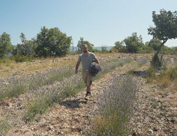 Reportages découverte