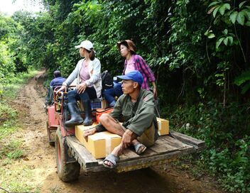 Les buffles, l'avenir pour le Laos ?