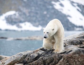 Au coeur de la Scandinavie