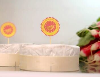 Le camembert nous ouvre sa boîte