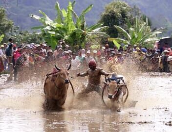 Les routes de l'impossible