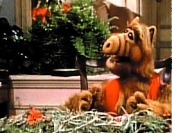 Alf