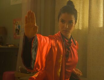 Kung-Fu Zohra