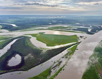 Aventures brésiliennes
