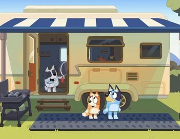 Bluey