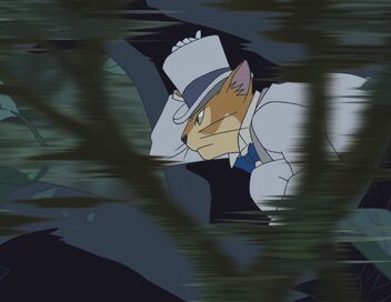 Le royaume des chats