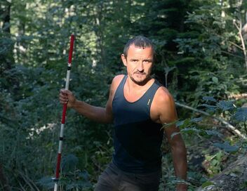 Forêts primaires, le poumon vert de l'Europe