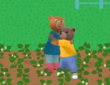 Petit Ours Brun